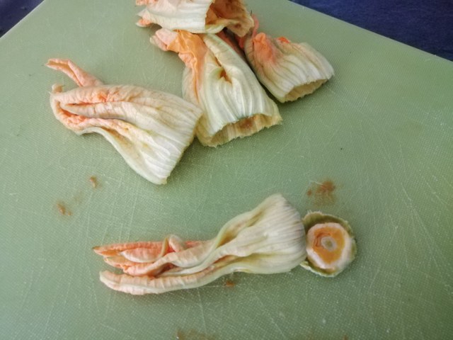 Calamaro imbottito di zucchine sulla loro crema e incoronato con chips dei loro fiori